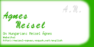 agnes meisel business card